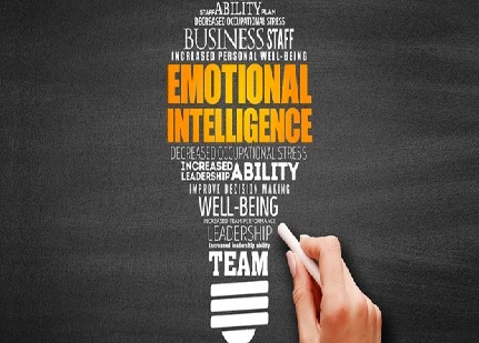 هوش هیجانی هوش هیجانی